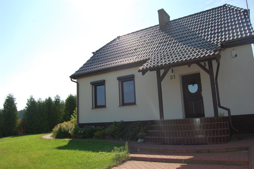 Dom Relaks & Wypoczynek Villa Skoki Exterior foto